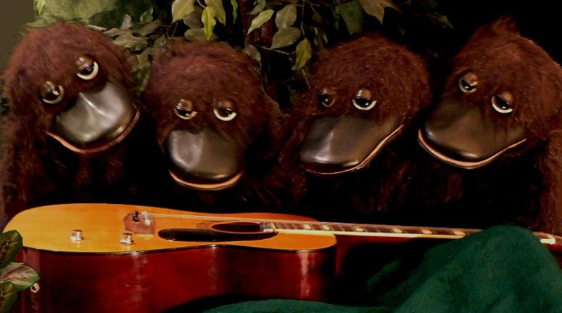 platypuses, The Platypus Players